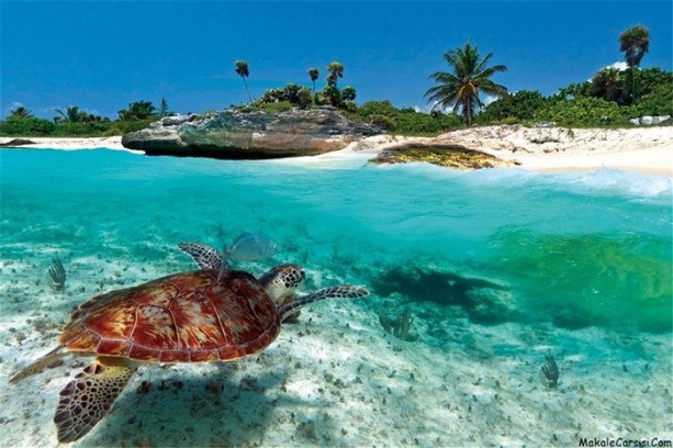 Foto - Vizesiz gidilebilen en güzel sahiller