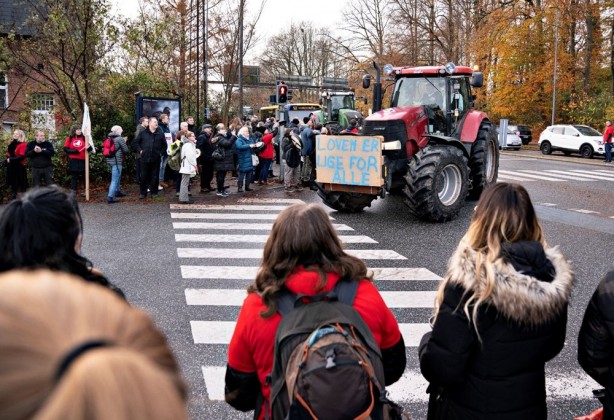 Foto - Vizonları itlaf etmişlerdi! Avrupa ülkesi fena karıştı