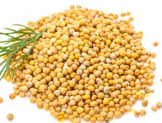 Vücuda güzellik aşılıyor! Bunu yiyen çok uzun yaşıyor: Bilim insanları önerdi! Neler ve ne kadar etkili?