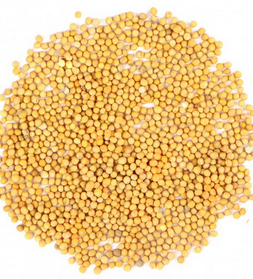 Foto - Vücuda güzellik aşılıyor! Bunu yiyen çok uzun yaşıyor: Bilim insanları önerdi! Neler ve ne kadar etkili?