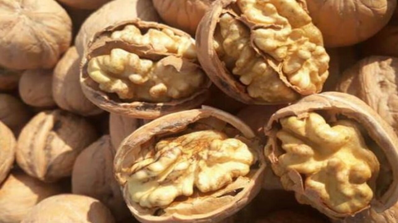 Foto - Vücuda inanılmaz etkileri var! Her gün 5 tane ceviz yerseniz...