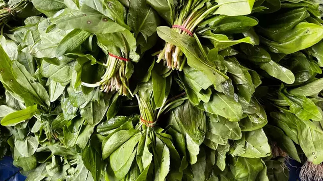 Vücuda pek çok fayda sağlar