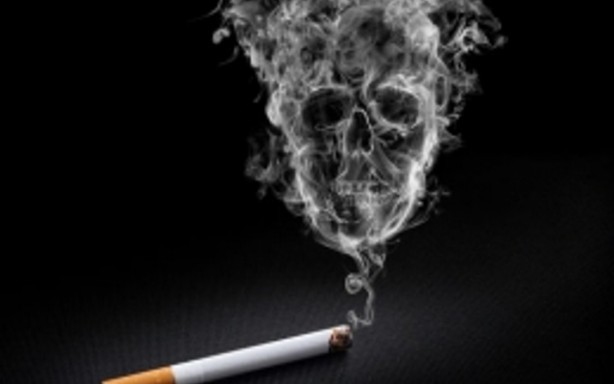 Foto - Vücudu nikotinden arındıran besinler