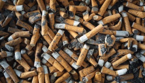 Foto - Vücudu nikotinden arındıran besinler