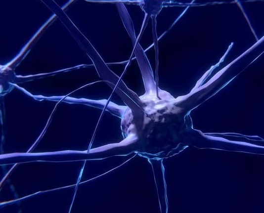 Foto - Vücudu toksinlerden arındıran 5 yiyecek