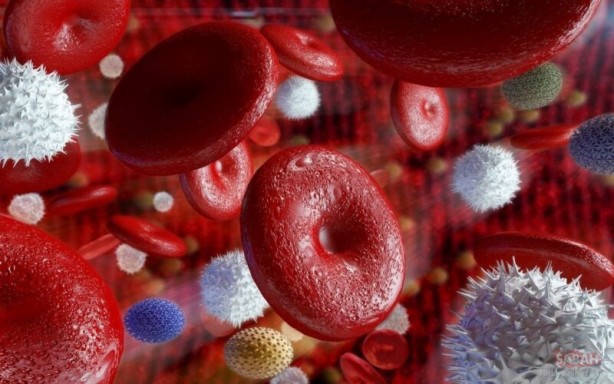 Foto - Vücudu toksinlerden arındıran 5 yiyecek