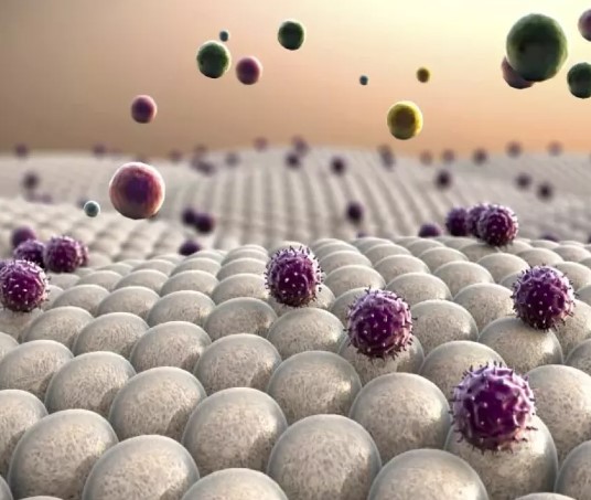 Vücudu toksinlerden arındıran 5 yiyecek