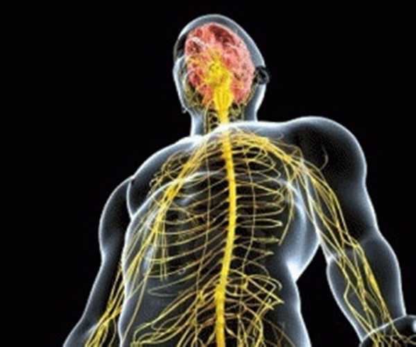 Foto - Vücudumuz hakkında çarpıcı gerçekler!