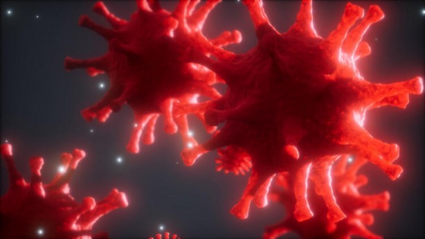 Foto - Vücudumuzda büyük tehlike! Farkınızda olmadan senelerce yaşıyor... İşte o helikobakter pilori bakterileri...