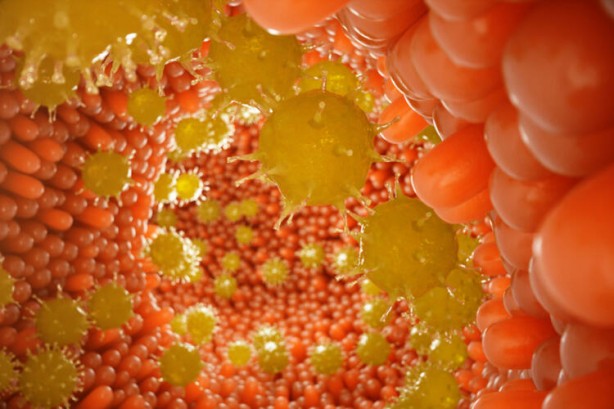 Foto - Vücudumuzda büyük tehlike! Farkınızda olmadan senelerce yaşıyor... İşte o helikobakter pilori bakterileri...