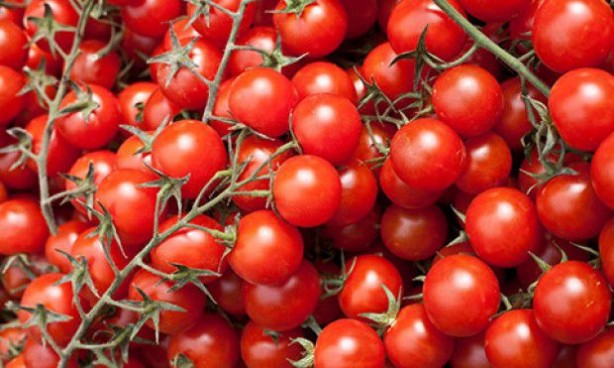 Foto - Vücudumuzdan toksinleri atmamıza yardımcı olan besinler