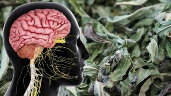 Foto - Vücudun başlama tuşu olan besini hiç merak ettiniz mi?