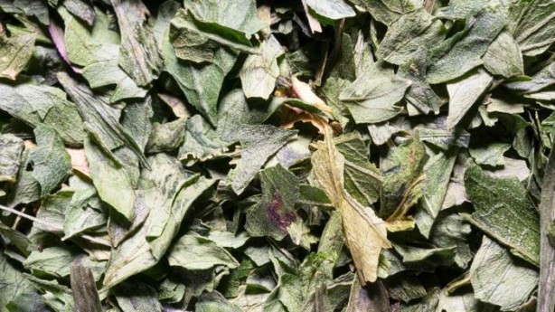 Vücudun başlama tuşu olan besini hiç merak ettiniz mi?