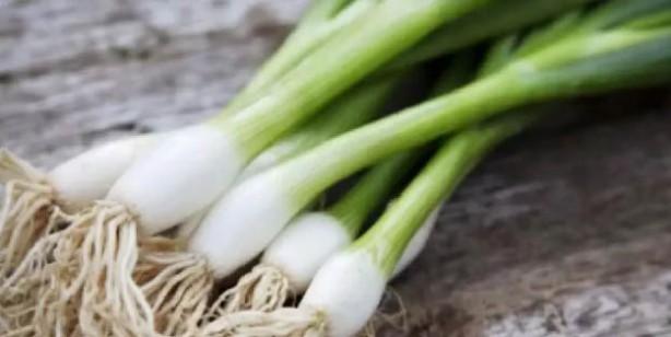 Foto - Vücudun en çok ihtiyaç duyduğu gıdalar! 1000 çeşit yiyecek arasından seçildiler