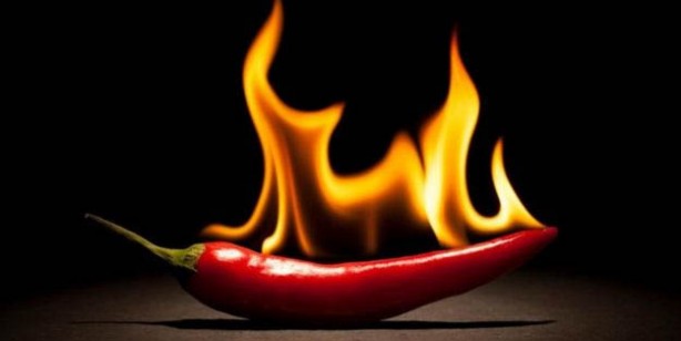 Foto - Vücudun en çok ihtiyaç duyduğu gıdalar! 1000 çeşit yiyecek arasından seçildiler