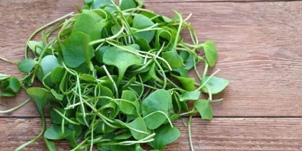 Foto - Vücudun en çok ihtiyaç duyduğu gıdalar! 1000 çeşit yiyecek arasından seçildiler