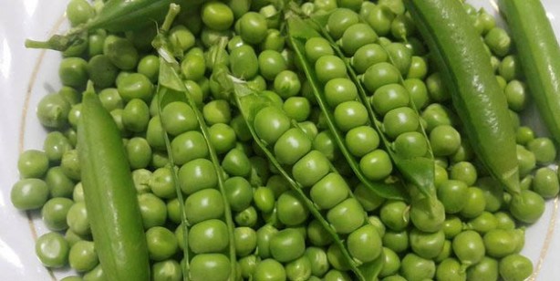 Foto - Vücudun en çok ihtiyaç duyduğu gıdalar! 1000 çeşit yiyecek arasından seçildiler