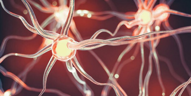 Foto - Vücudun su ihtiyacı hangi besinlerle karşılanır? Doğru su tüketimi: Vücutta sıvı kaybına ne iyi gelir, su dengesini ne sağlar?