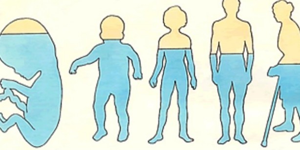 Foto - Vücudun su ihtiyacı hangi besinlerle karşılanır? Doğru su tüketimi: Vücutta sıvı kaybına ne iyi gelir, su dengesini ne sağlar?