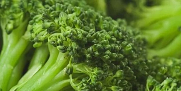 Foto - Vücudun su ihtiyacı hangi besinlerle karşılanır? Doğru su tüketimi: Vücutta sıvı kaybına ne iyi gelir, su dengesini ne sağlar?