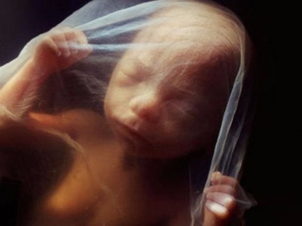 Foto - Vücudunuz hakkında duyacaklarınız sizi çok şaşırtacak!