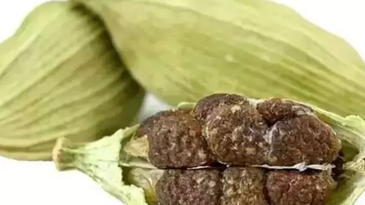 Foto - Ağız kokusunu gidiyor! Bunu yapın 