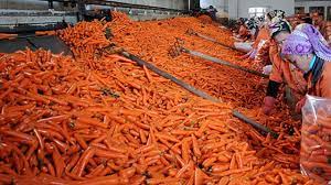 Foto - Vücudunuzdan nikotini temizleyen 11 besin: Yaptığı görevlere şok olacaksınız, kimse beklemiyordu! 