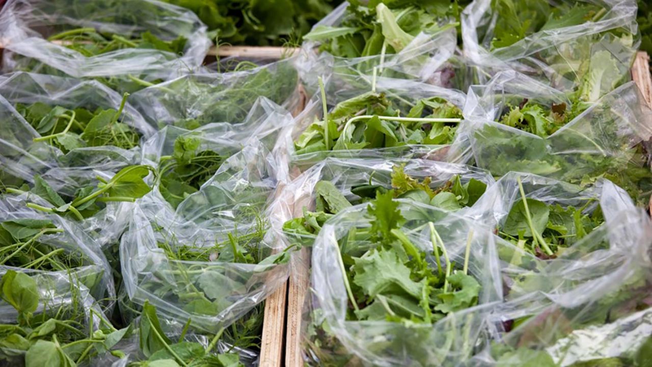 Foto - Vücut direncini çelik gibi yapan doğal ilaç! Kış aylarında tüketiliyor, faydaları inanılmaz: Herkes merak ediyor, böylesi görülmedi
