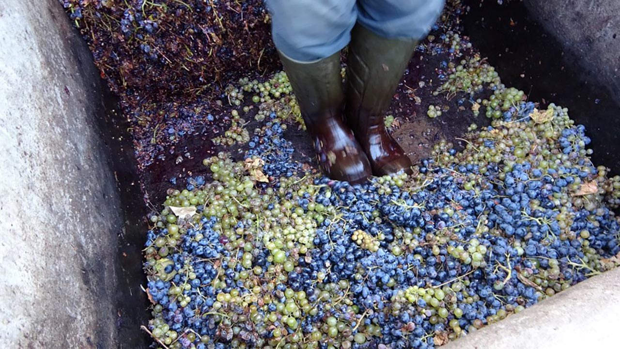 Foto - Vücut direncini çelik gibi yapan doğal ilaç! Kış aylarında tüketiliyor, faydaları inanılmaz: Herkes merak ediyor, böylesi görülmedi