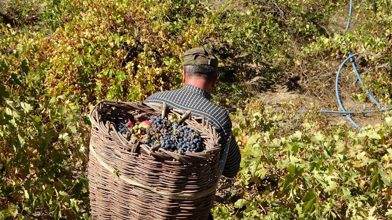 Foto - Vücut direncini çelik gibi yapan doğal ilaç! Kış aylarında tüketiliyor, faydaları inanılmaz: Herkes merak ediyor, böylesi görülmedi