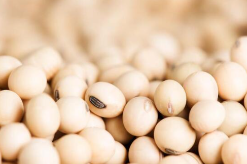 Foto - Vücutta iltihaba neden oluyor! Mutfağınıza sokmayın