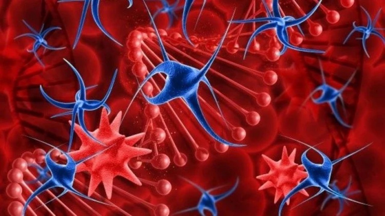 Eczaneye gitmeye son! İltihabı kökünden kurutuyor: İşte mutfaktaki 'Altın' mucize