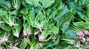 Foto - Vücuttaki iltihabı atan besinler: Tüm zehri atıyor! Dikkat çeken, hayat kurtaran yollar bu! Farkında olun