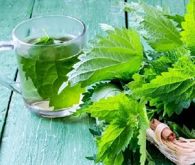 Foto - Vücuttaki iltihabı eritiyor! Birçok sağlık sorunları için 14 gün yapılacak: İç organları tertemiz yapıyor! Şimdi deneyin