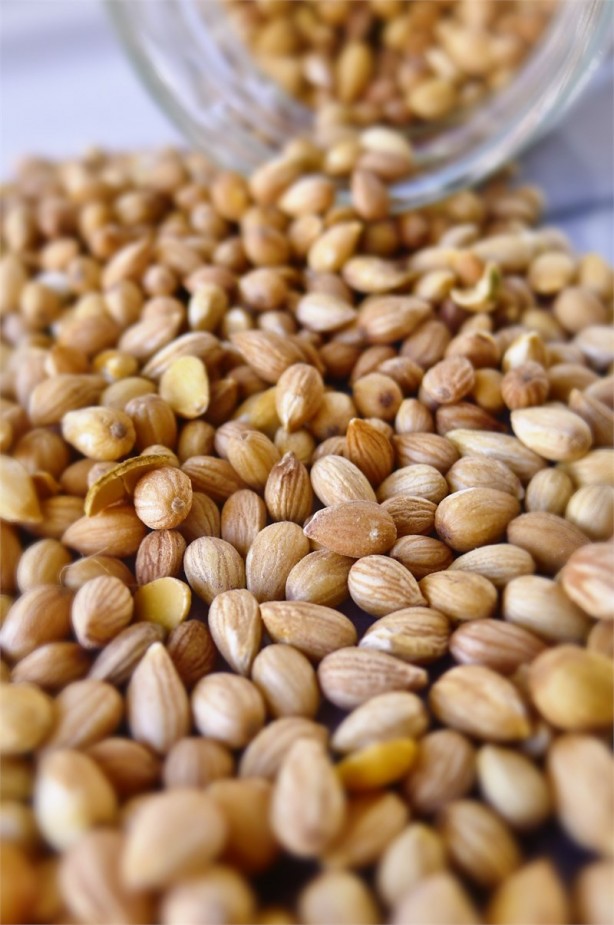 Foto - Vücuttaki toksinleri söküp atan karışım