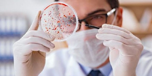 Bu besinler vücuttaki tüm iltihabı atıyor! 