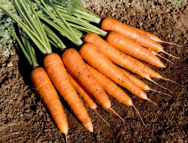 Foto - Vücuttaki ürik asidi düşürebilecek 8 besin şoke etti! Görülmemiş oranda en hızlı böyle önlüyor, deva oluyor 