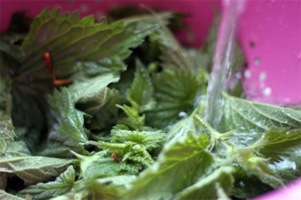 Foto - Vücuttan nikotini temizleyen besinler