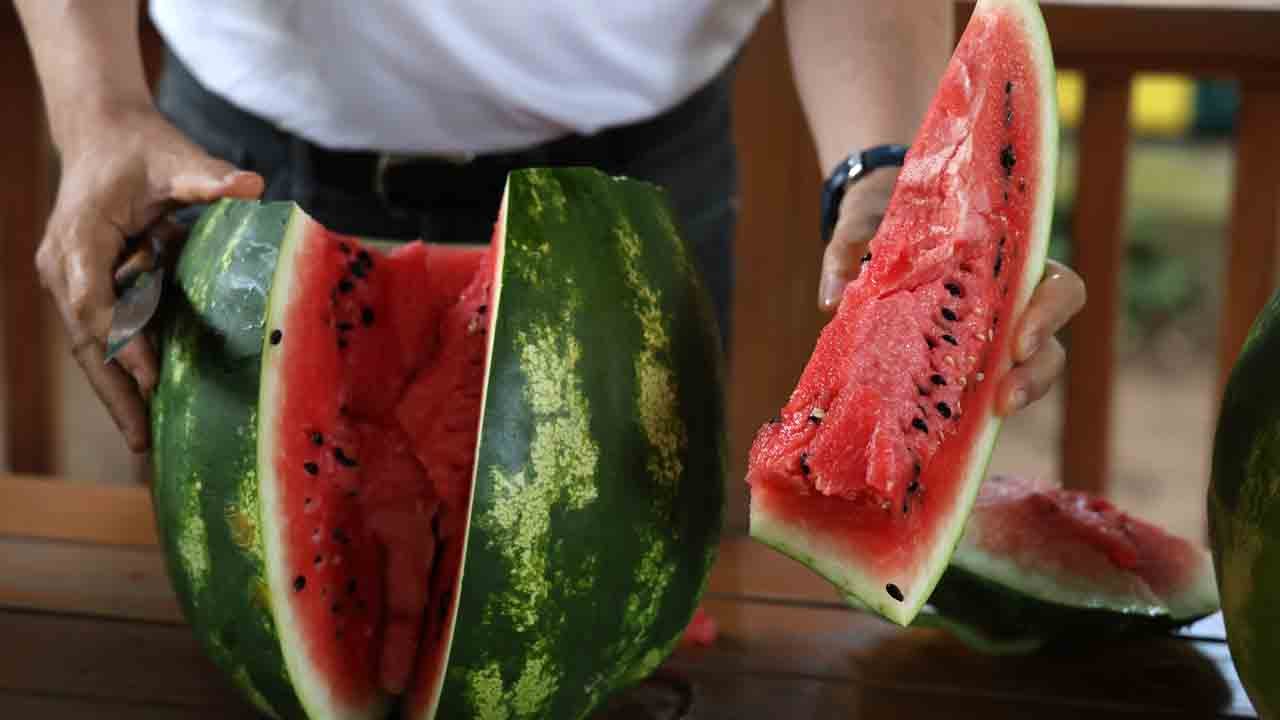Vurup çıkan sesi dinlemek eskide kaldı: En iyi karpuzu seçmenin püf noktaları