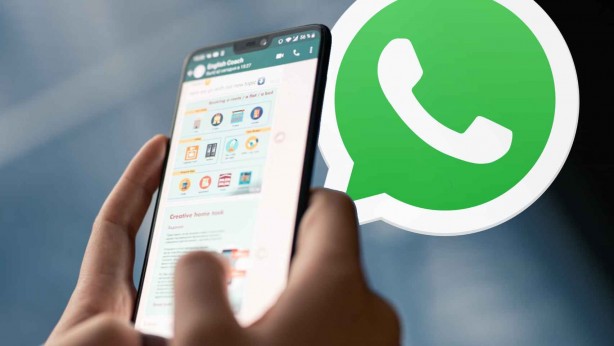 Foto - WhatsApp gruplarına yeni özellik geliyor
