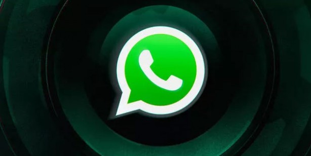 Foto - WhatsApp, market alışverişine el attı