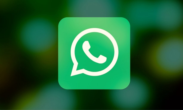Foto - WhatsApp, market alışverişine el attı