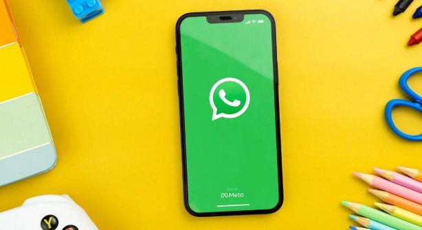 WhatsApp'a "ispiyonlama" özelliği!