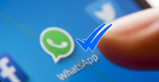 Foto - Whatsapp'ta onaylanmış mavi tik dönemi!