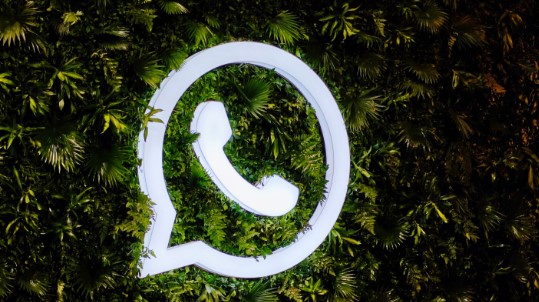 Foto - Whatsapp'ta onaylanmış mavi tik dönemi!