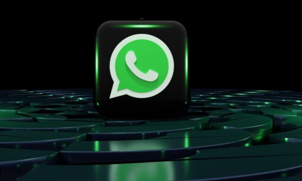 Foto - WhatsApp'tan yeni özellik! Artık kimse yapamayacak