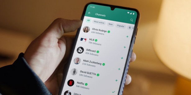 WhatsApp'tan yeni özellik! Artık kimse yapamayacak