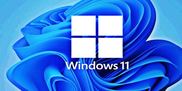 Foto - Windows 11 güncellemesinde şaşırtan hata