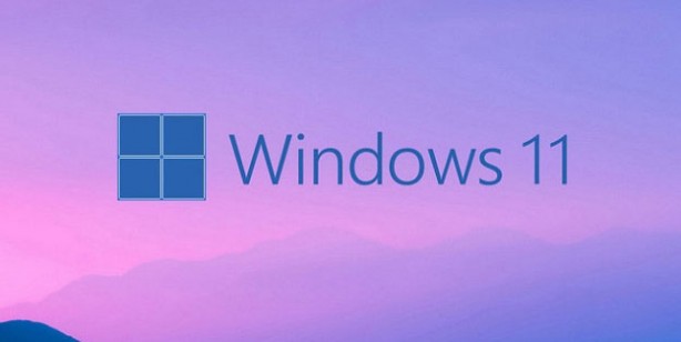 Foto - Windows 11 güncellemesinde şaşırtan hata