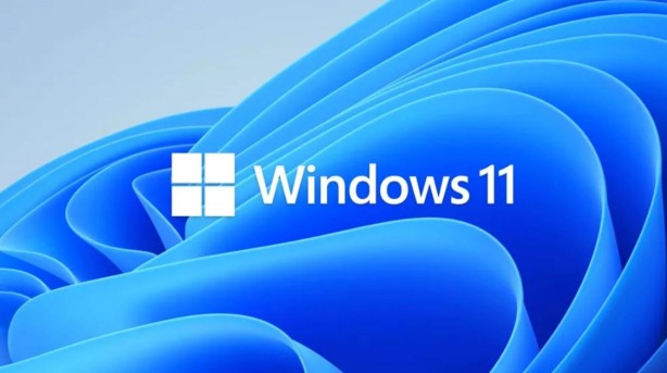 Foto - Windows 11 güncellemesinde şaşırtan hata